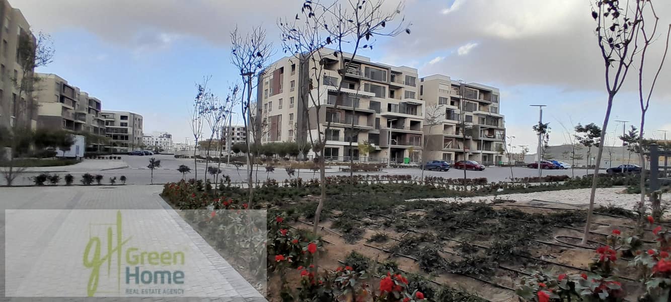 8 20260109_155515. jpg