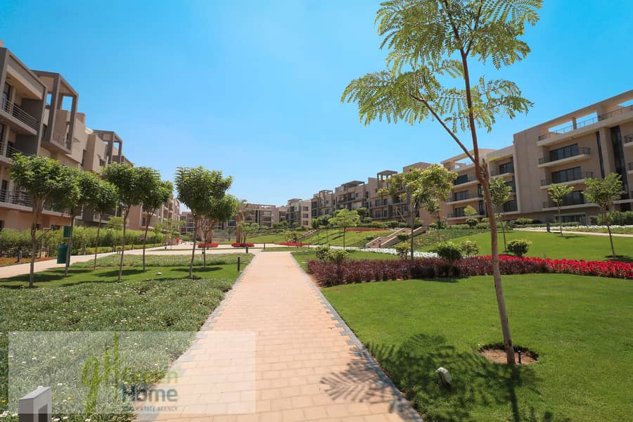 6 IMG_9435-copy. jpg