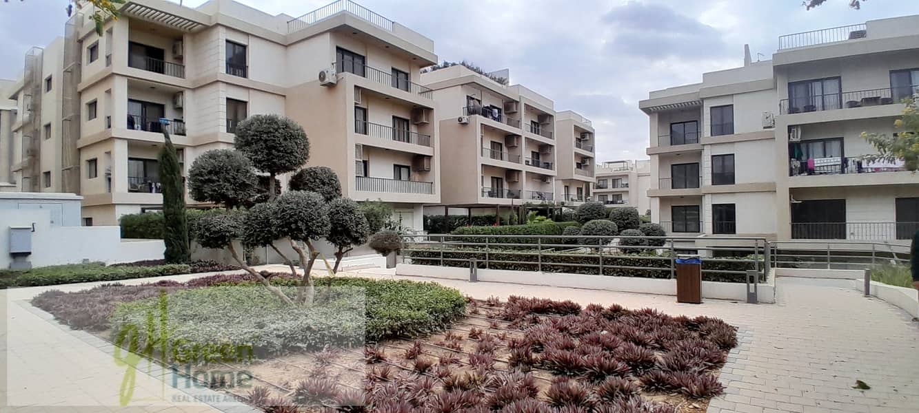 6 20251229_143310. jpg