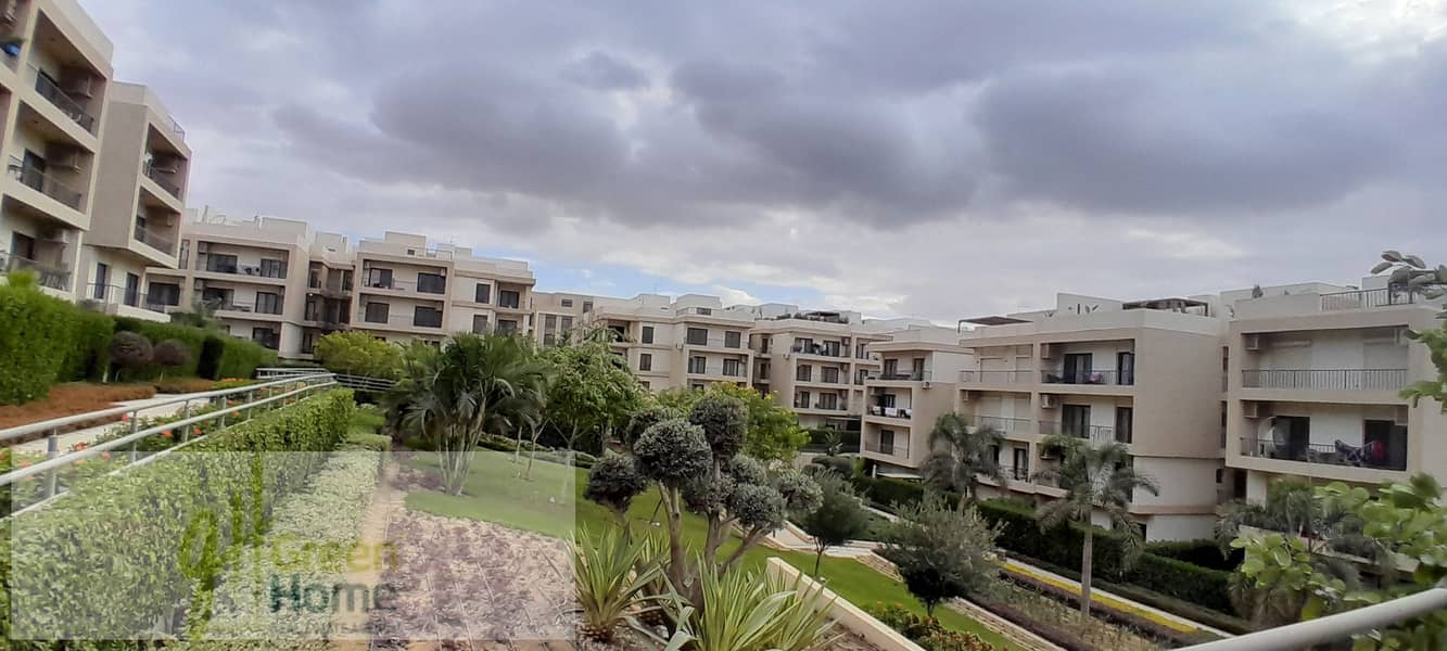 2 20251229_143001. jpg