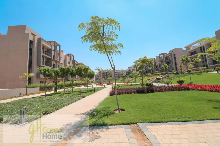 6 IMG_9433-copy. jpg