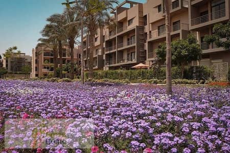 2 Bedroom Flat for Rent in New Cairo, Cairo - WhatsApp Image 2023-11-29 at 11.41. 42 AM (1). jpeg