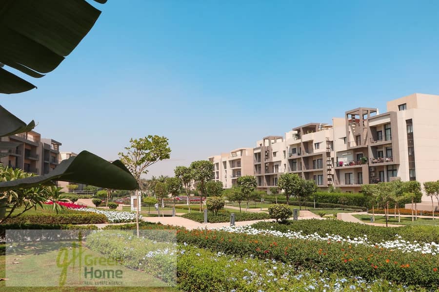 5 WhatsApp Image 2023-11-18 at 11.25. 48 AM (1). jpeg