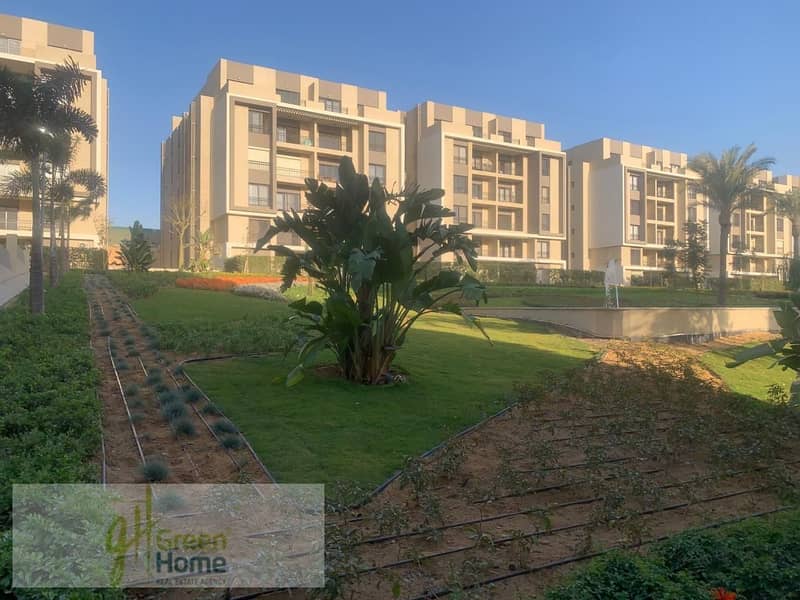 3 6e3f0384-cbf2-4a80-a665-58486d75efb3. jpg