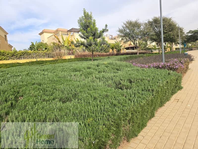 12 20260104_133755. jpg