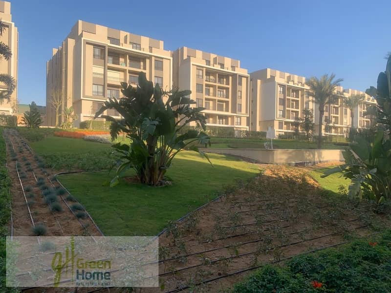 4 9d5d675e-e4b9-4824-8892-68735da89502. jpg