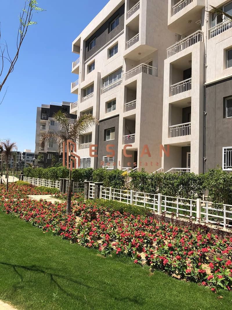 11 IMG-20241121-WA0255. jpg