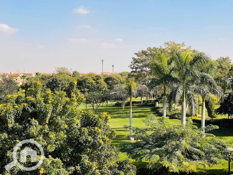 4 614067298_1191673426283624_468693750172223610_n. jpg