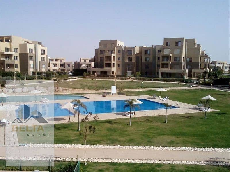 7 9f86af67-52ad-4dd4-b9bb-b6c3250c8c6f_800x600. jpg