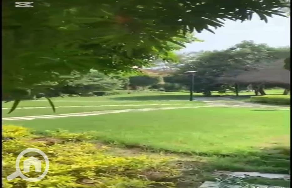 2 4d7276ed-ccaf-4239-bcfa-a8839cf0a07a. jpg