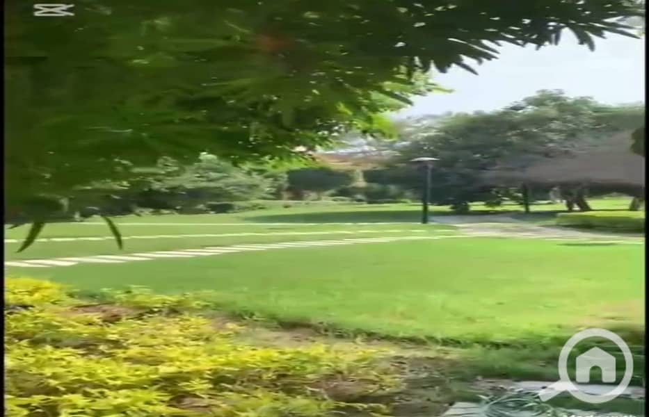 13 4d7276ed-ccaf-4239-bcfa-a8839cf0a07a. jpg