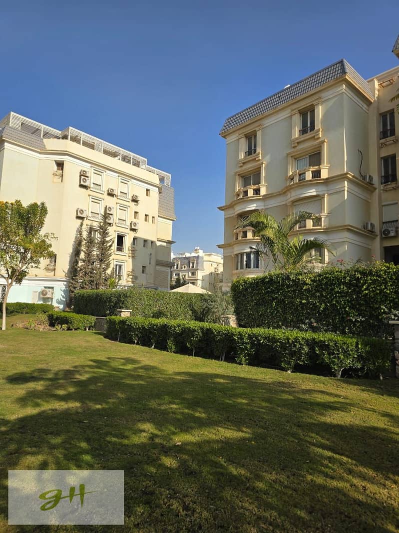 12 8f0db200-5df8-415e-bd23-a4007cf1fa87. jpg