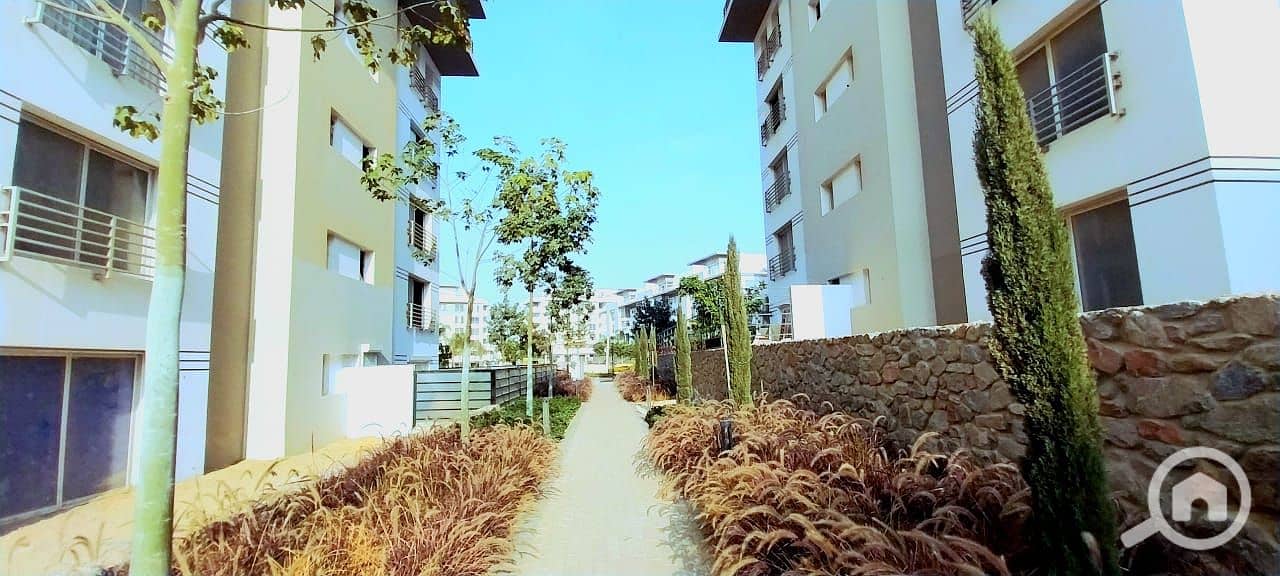 9 efdf9300-a73a-44df-a62f-16b2d5628ae0. jpg