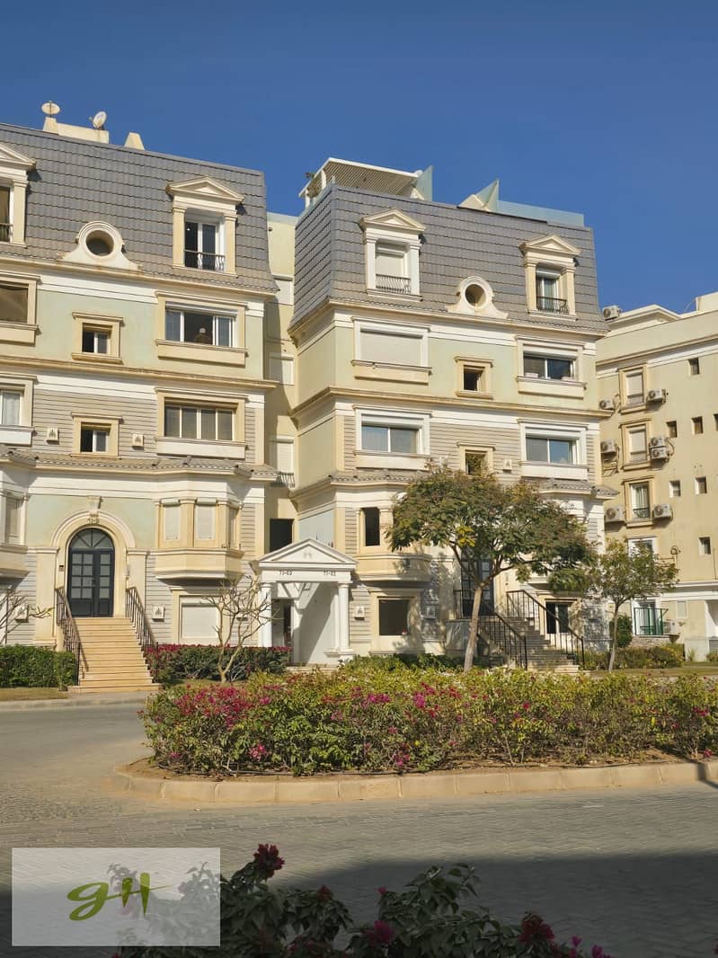 4 87ea3816-6138-41ad-bad2-35509bc53b93. jpg