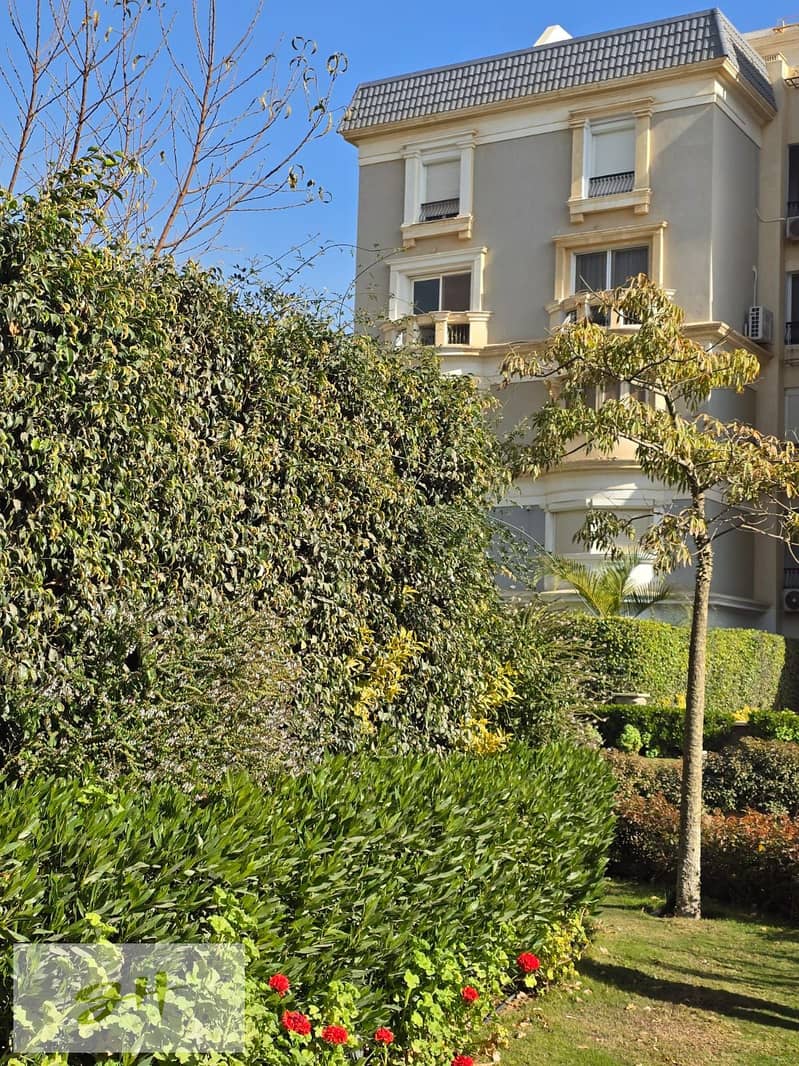 12 1a799322-d683-49b9-8929-a050805c08aa. jpg