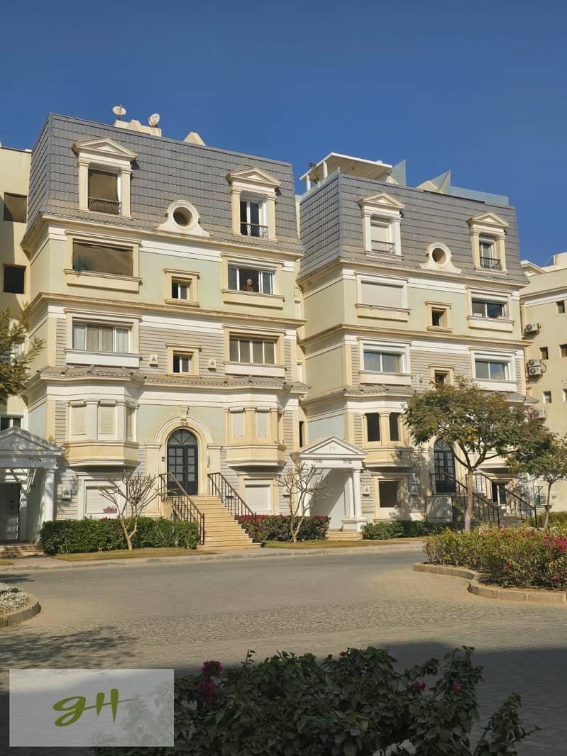 13 1b014d30-7ece-4606-99b4-91c738caf921. jpg