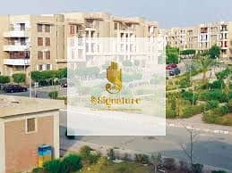 6 الشروق ٤. jpeg