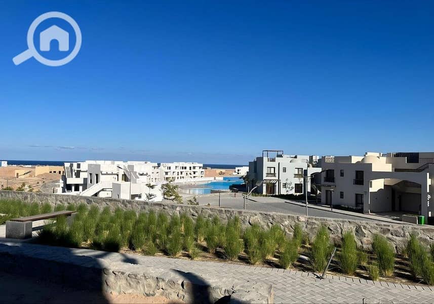 3 photo_2024-02-23_20-11-03(1). jpg