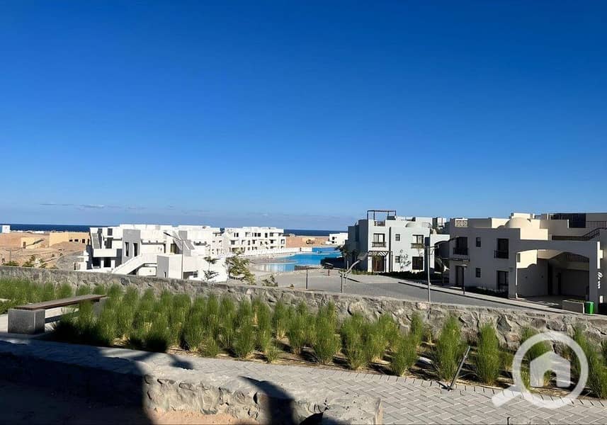 5 photo_2024-02-23_20-11-03(1). jpg