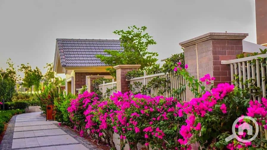 5 Screenshot 2025-08-18 135022. png