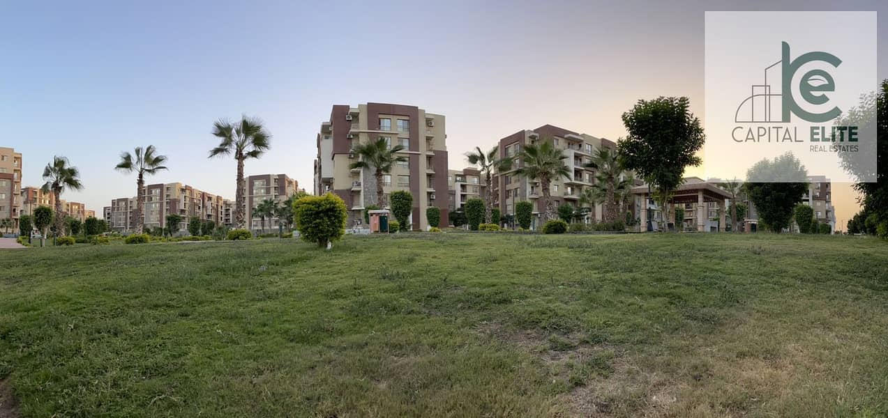 26 42cf7e81-a17c-49da-bb06-961e79f94c32. jpg