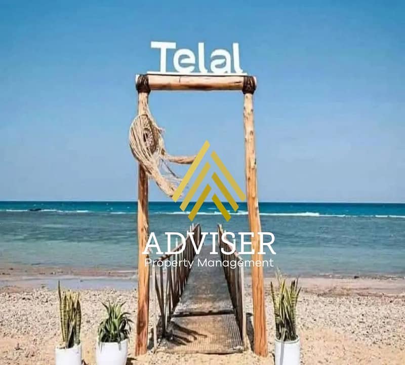 6 1312x894 (10). jpg