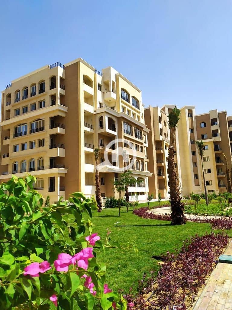 2 Al Maqsed 9 - Copy. jpeg