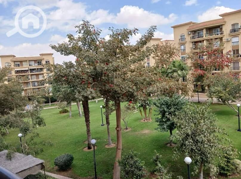 4 1ae74ea1-ee9c-4452-b741-2063c4001440. jpeg