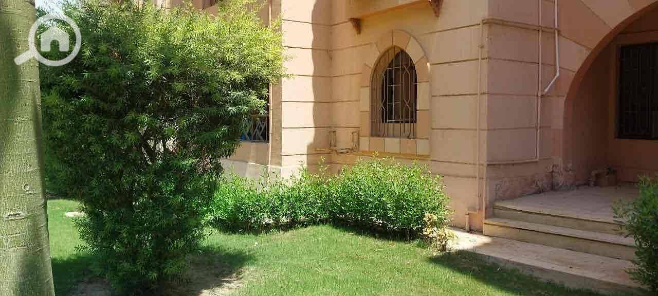 9 ee3763be-603b-4810-a463-e881170418ef. jpg