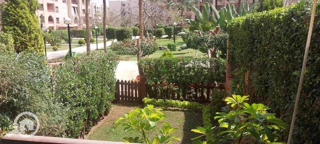 10 e8cea294-0a24-4db1-a1e5-14aa27ece4b8. jpg