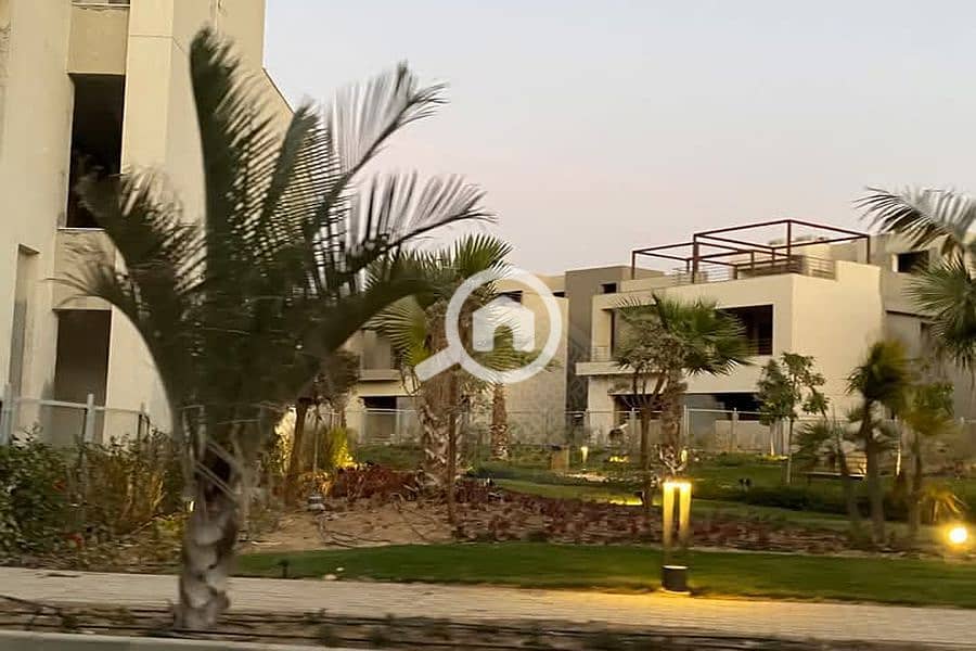 5 Background (2). png