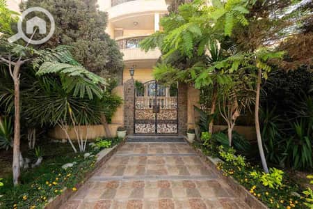 شقة 3 غرف نوم للايجار في القاهرة الجديدة، القاهرة - 1003087052. jpg