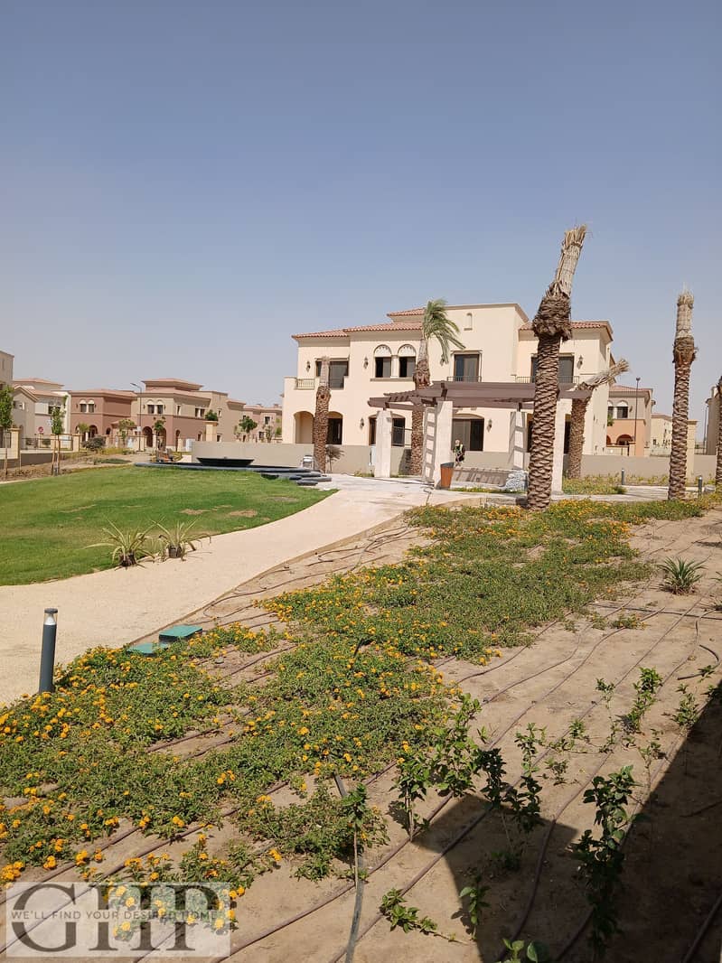 5 20250622_153930. jpg