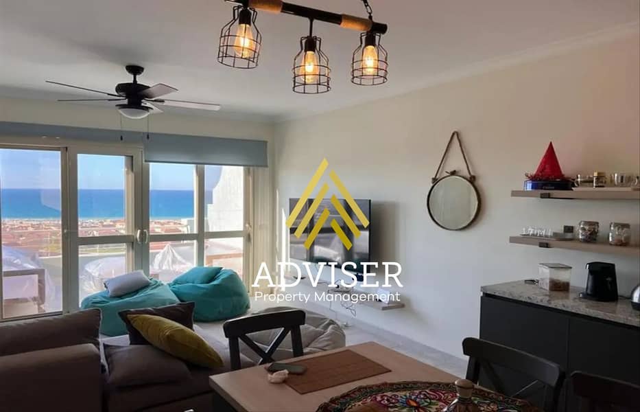 2 5359790-2529do. jpg