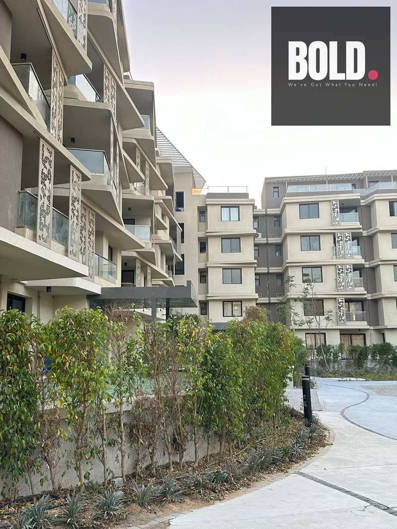 11 PHOTO-2025-02-10-14-00-39 (9). jpg