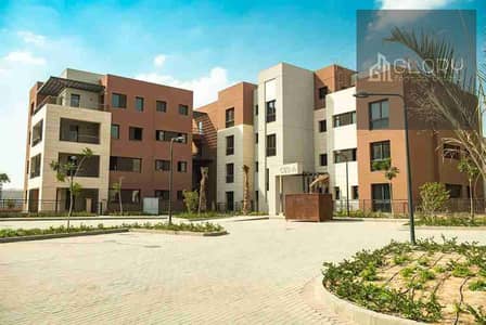 شقة 3 غرف نوم للبيع في القاهرة الجديدة، القاهرة - 203621. jpg