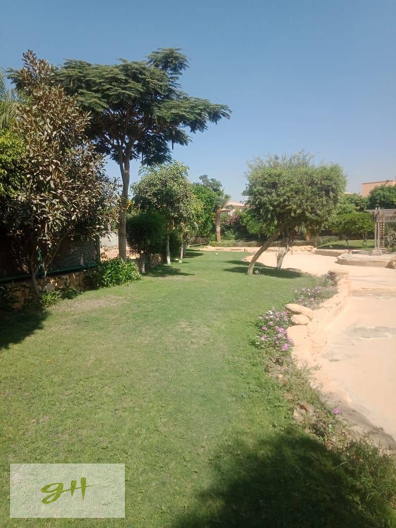 5 WhatsApp Image 2021-01-16 at 18.50. 21 (1). jpeg