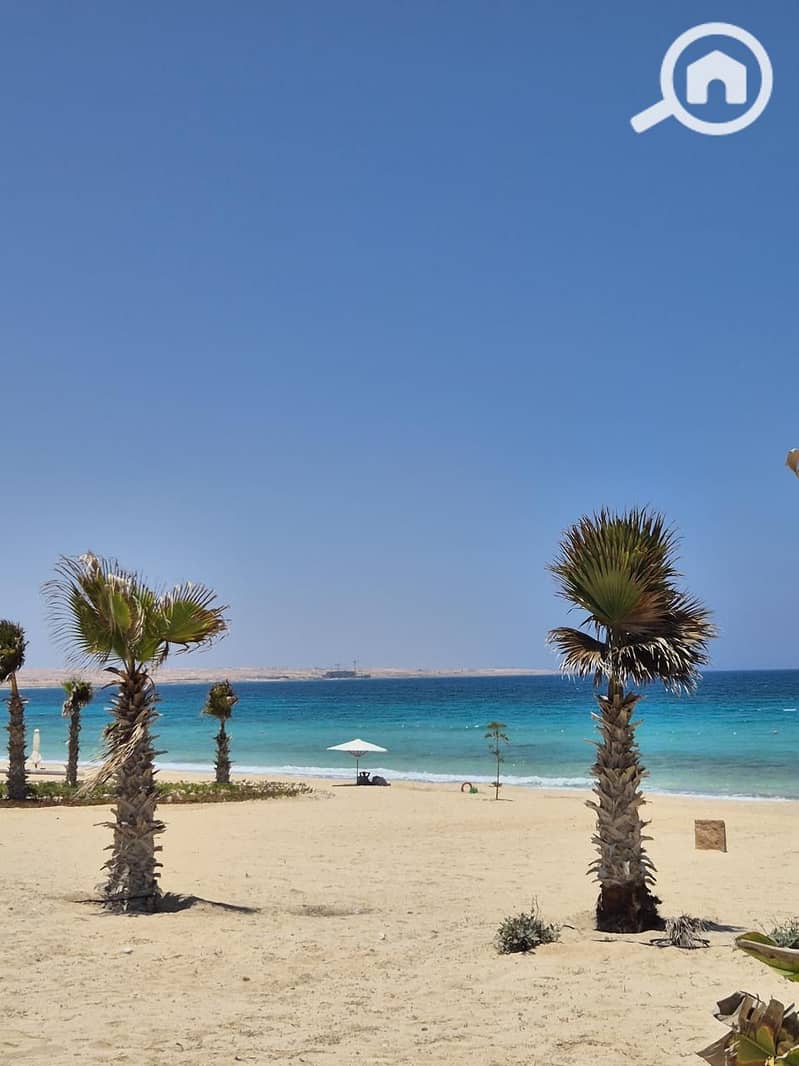 8 2d88665e-d694-4dfb-a853-66790b9360dc. jpeg