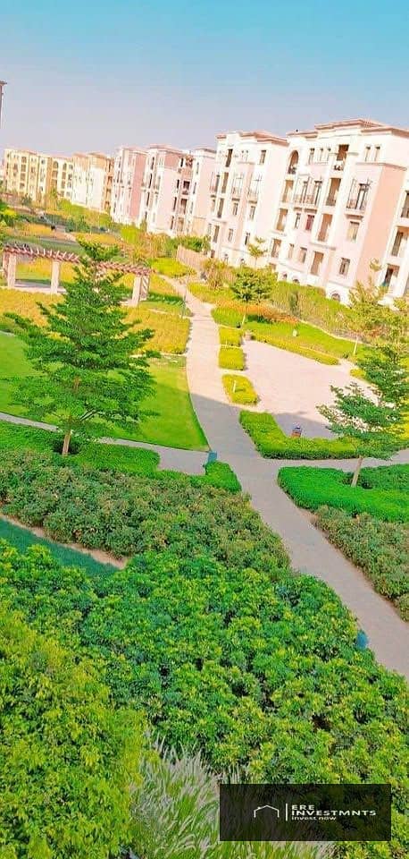 7 579027487_824199033650940_1767571490201311922_n. jpg