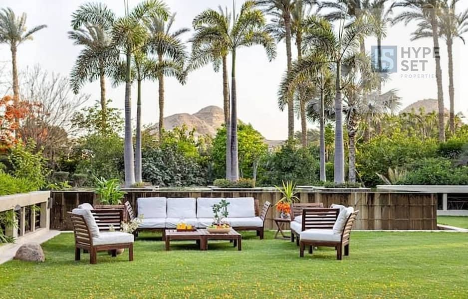 8 5965366724540874862. jpg