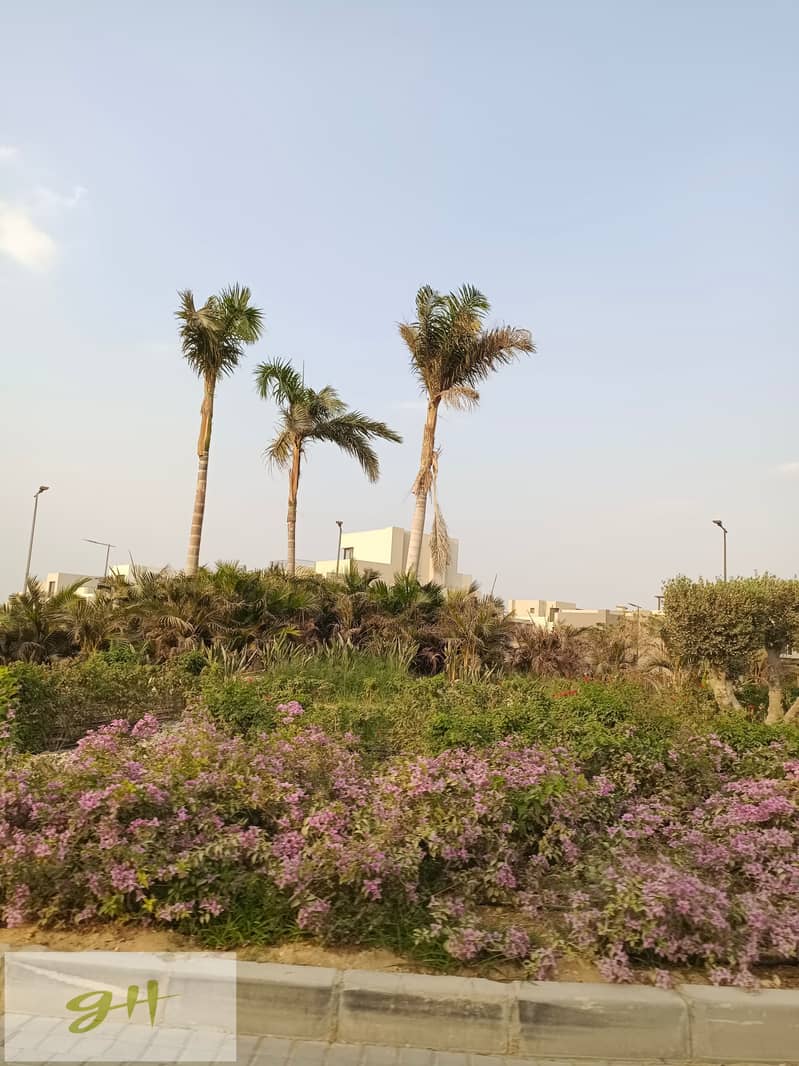 7 IMG_20231009_165833. jpg