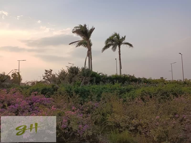 10 IMG_20231009_171212. jpg