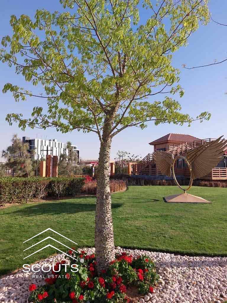 9 151f078e-c6e8-465b-a362-9ecbd12ff062. jpg