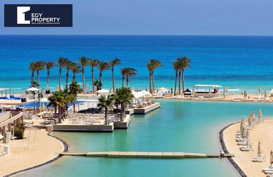 7 WhatsApp Image 2025-12-14 at 23.41. 18_df130d8a. jpg