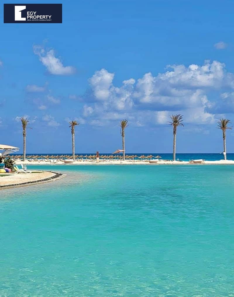 3 WhatsApp Image 2026-01-15 at 1.56. 46 PM. jpeg