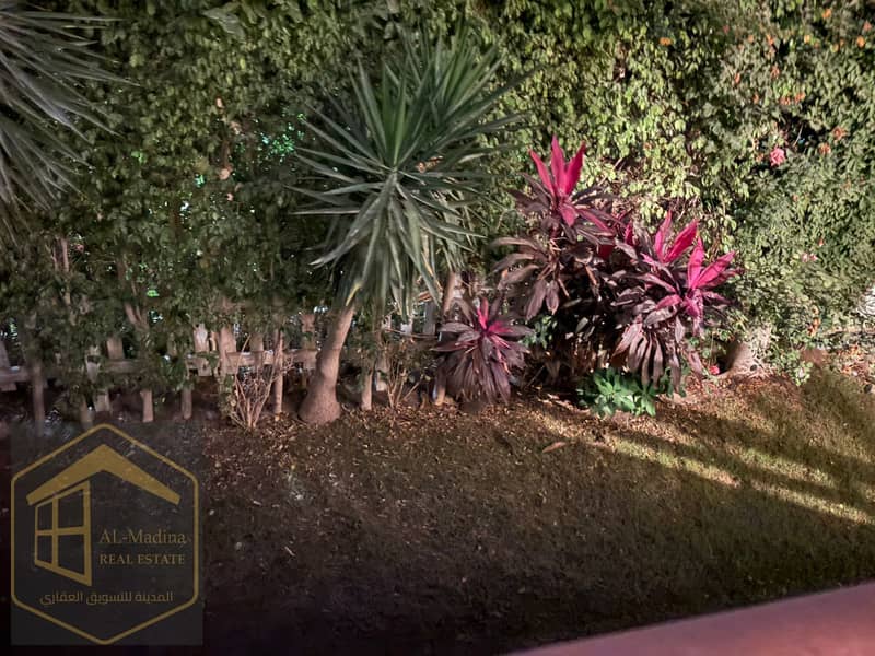 3 WhatsApp Image 2026-01-14 at 21.38. 40. jpeg