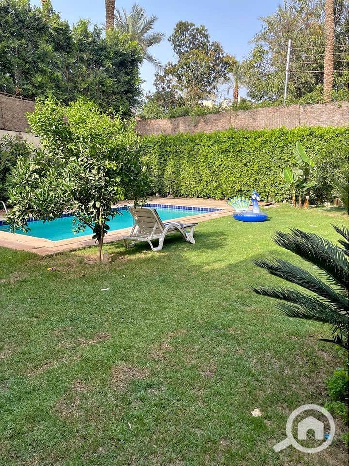 5 561339297_854401060400586_1608148990495005052_n. jpg