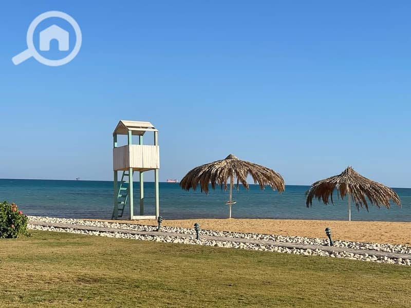 4 534424339_746179994872181_8341659588853173657_n. jpg