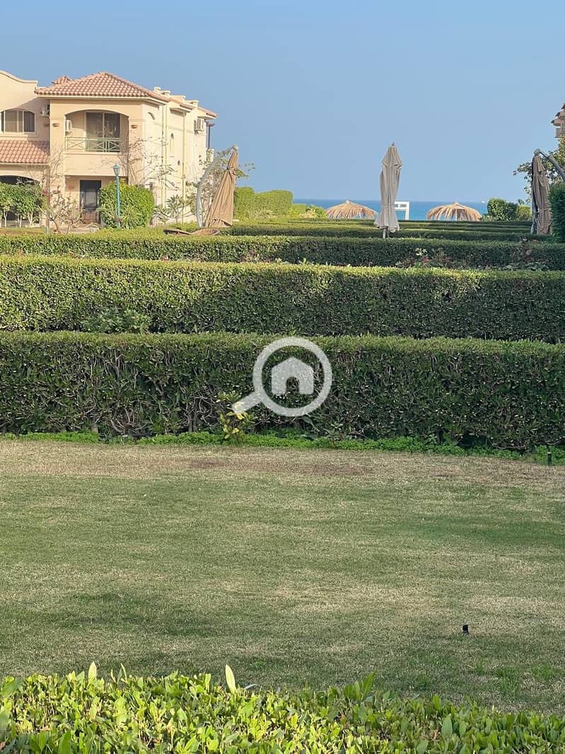 7 536145395_746180038205510_6360133783698776235_n. jpg