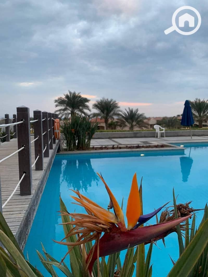 9 FB_IMG_1764014017312. jpg